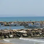 Selinuntine
