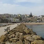 Selinuntine *